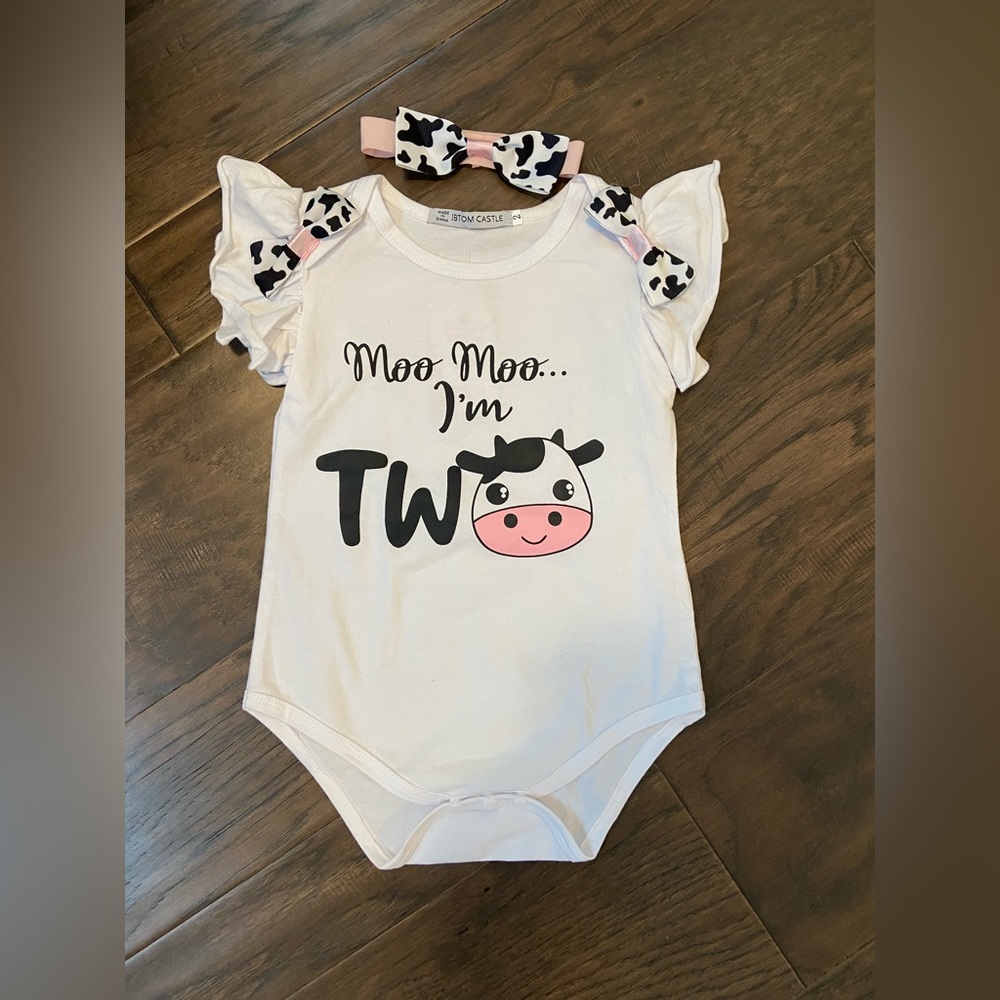 2 year old birthday onesie